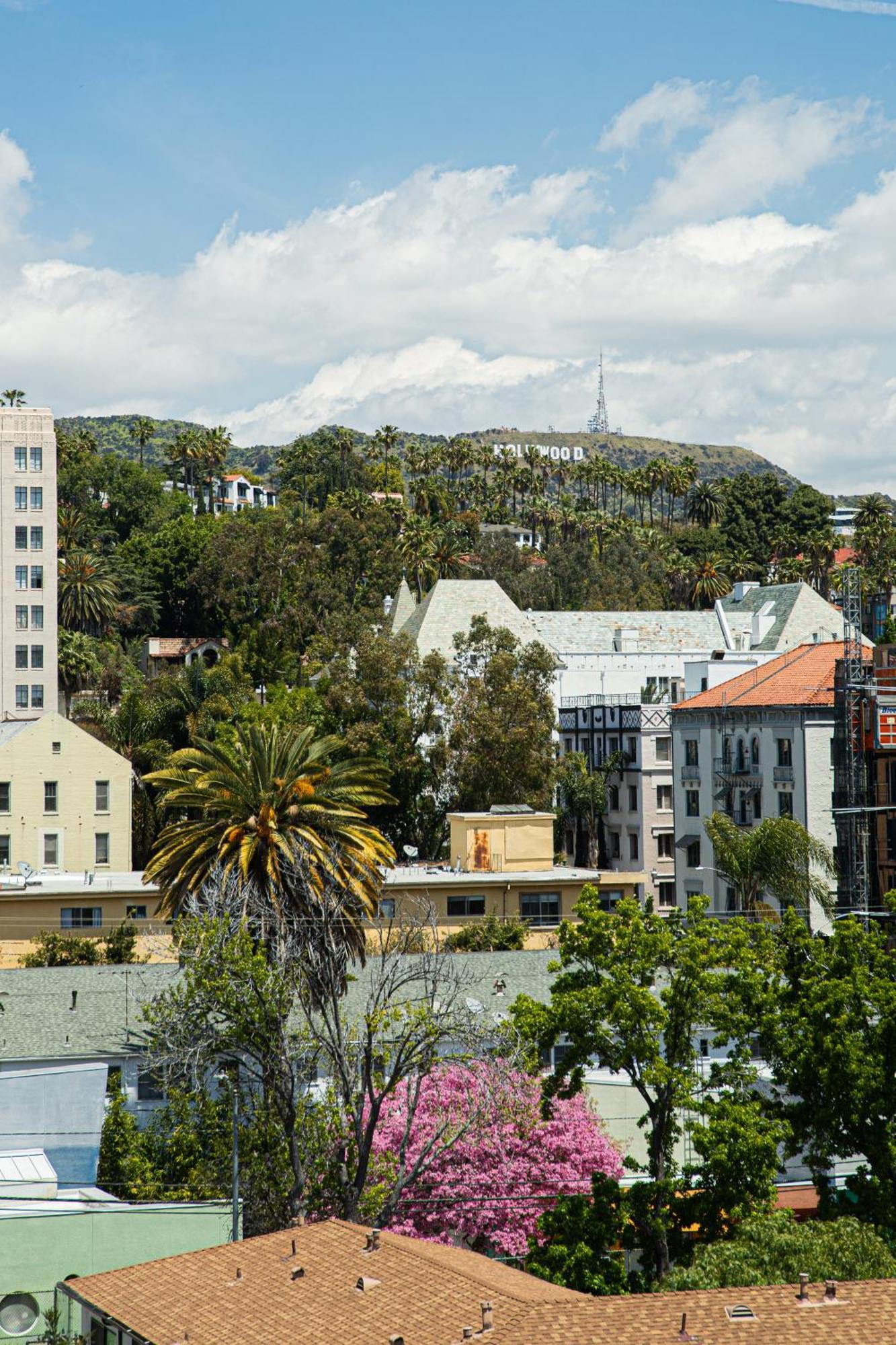 Luxury Apartment With The Hollywood Hills View لوس أنجلوس المظهر الخارجي الصورة
